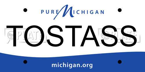 TOSTASS Michigan License Plate
