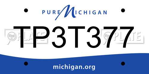 TP3T377 Michigan License Plate