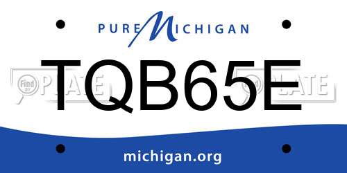TQB65E Michigan License Plate