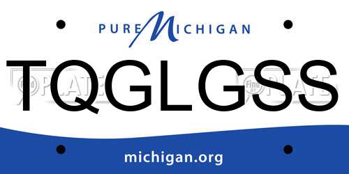 TQGLGSS Michigan License Plate