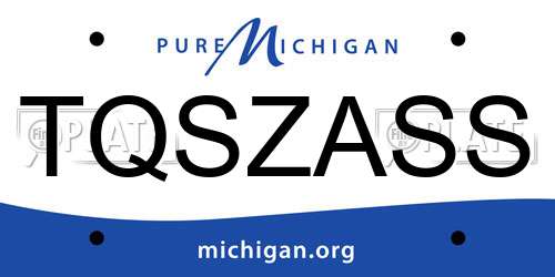 TQSZASS Michigan License Plate