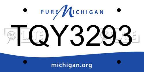 TQY3293 Michigan License Plate