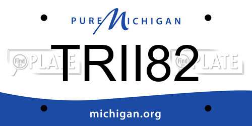 TRII82 Michigan License Plate