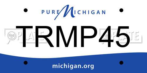 TRMP45 Michigan License Plate