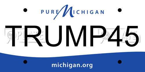 TRUMP45 Michigan License Plate