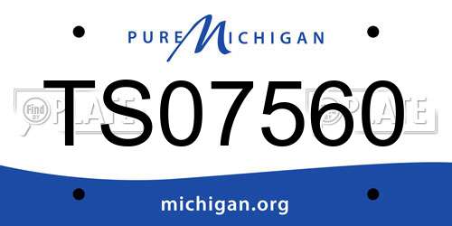 TS07560 Michigan License Plate