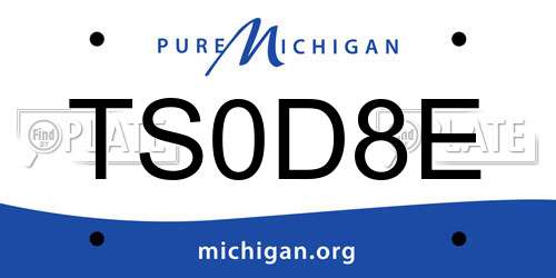 TS0D8E Michigan License Plate
