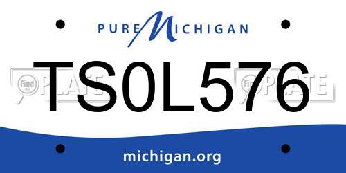 TS0L576 Michigan License Plate