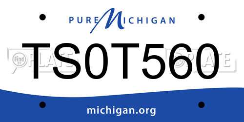 TS0T560 Michigan License Plate