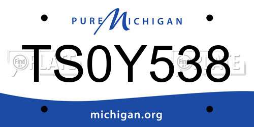 TS0Y538 Michigan License Plate