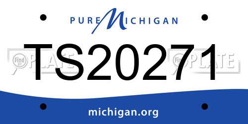 TS20271 Michigan License Plate