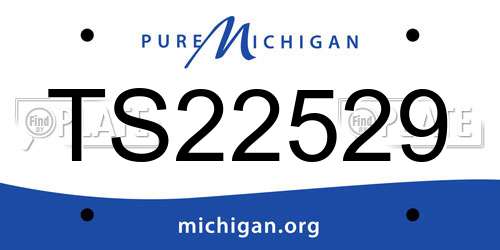 TS22529 Michigan License Plate