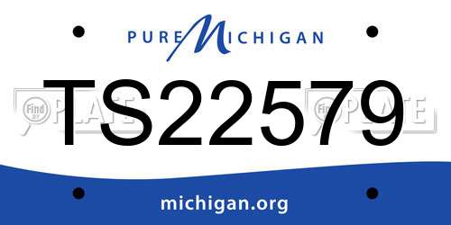 TS22579 Michigan License Plate