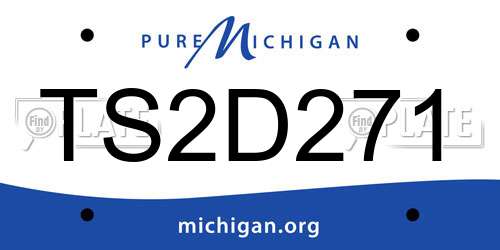 TS2D271 Michigan License Plate