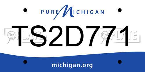 TS2D771 Michigan License Plate