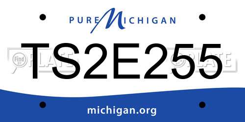 TS2E255 Michigan License Plate