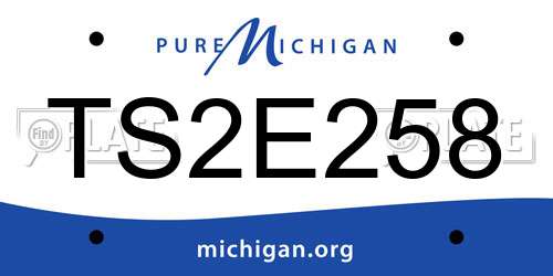TS2E258 Michigan License Plate