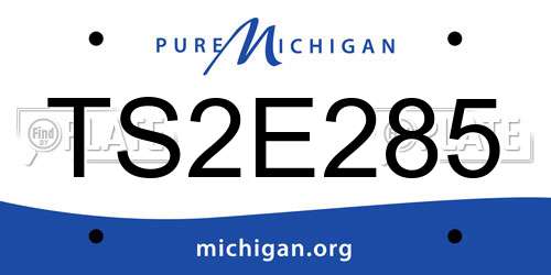 TS2E285 Michigan License Plate