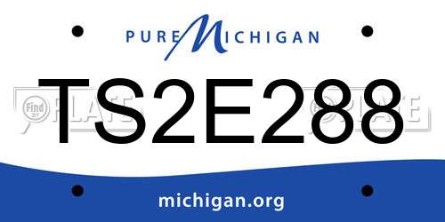 TS2E288 Michigan License Plate