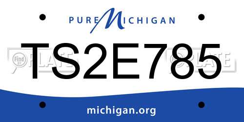 TS2E785 Michigan License Plate