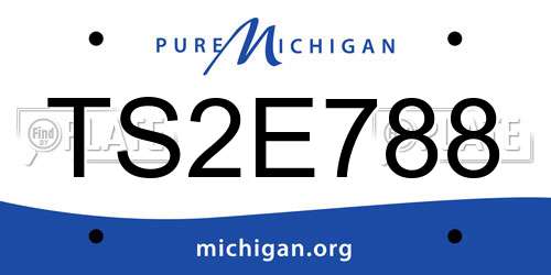 TS2E788 Michigan License Plate