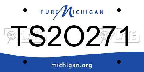 TS2O271 Michigan License Plate