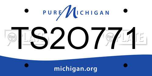 TS2O771 Michigan License Plate