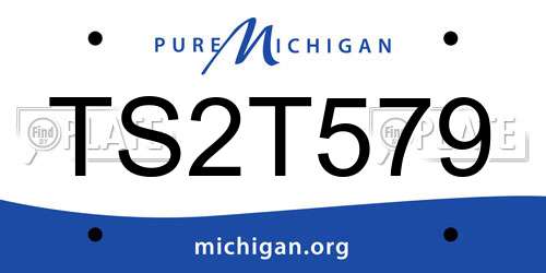 TS2T579 Michigan License Plate