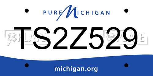 TS2Z529 Michigan License Plate