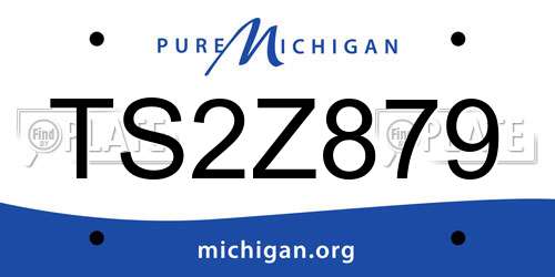 TS2Z879 Michigan License Plate