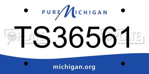 TS36561 Michigan License Plate