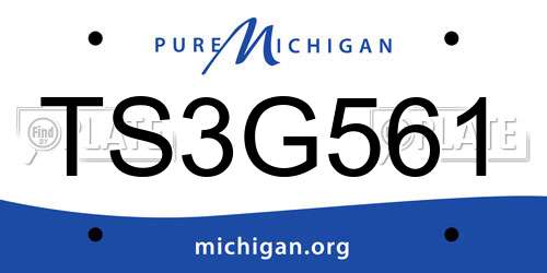 TS3G561 Michigan License Plate