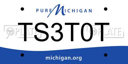 TS3T0T Michigan License Plate