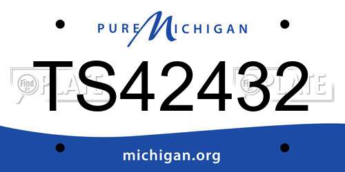 TS42432 Michigan License Plate