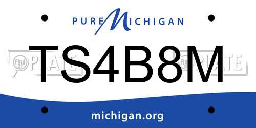 TS4B8M Michigan License Plate