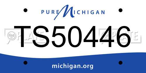 TS50446 Michigan License Plate