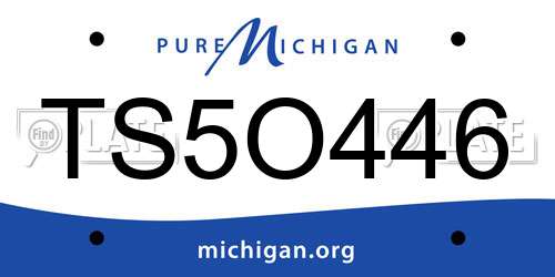 TS5O446 Michigan License Plate