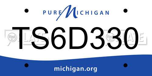 TS6D330 Michigan License Plate