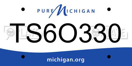 TS6O330 Michigan License Plate