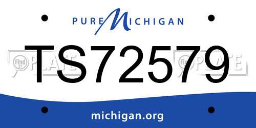 TS72579 Michigan License Plate