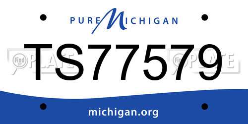 TS77579 Michigan License Plate