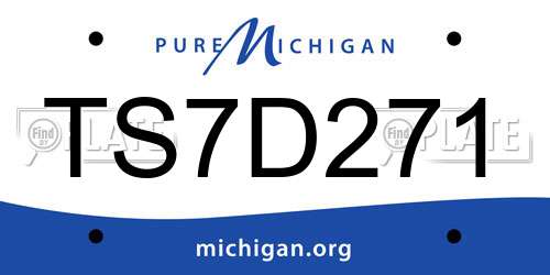 TS7D271 Michigan License Plate