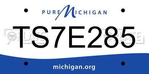 TS7E285 Michigan License Plate