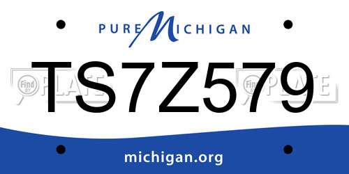 TS7Z579 Michigan License Plate