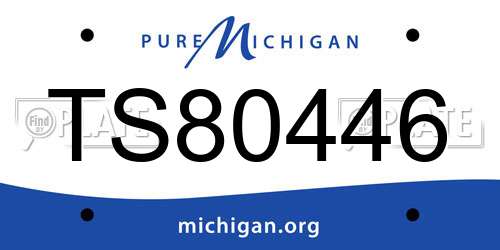TS80446 Michigan License Plate
