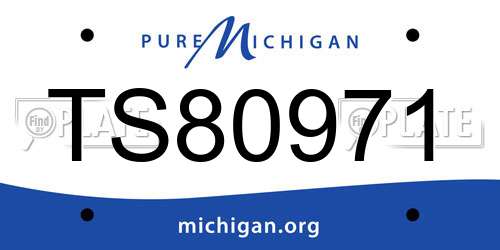 TS80971 Michigan License Plate