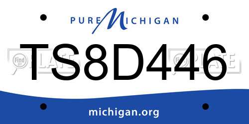 TS8D446 Michigan License Plate