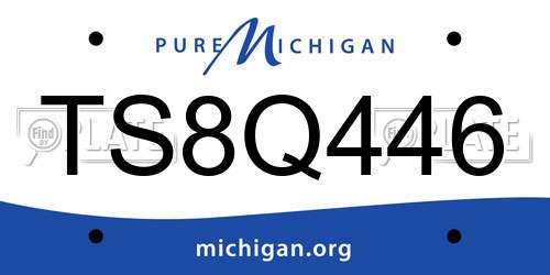 TS8Q446 Michigan License Plate