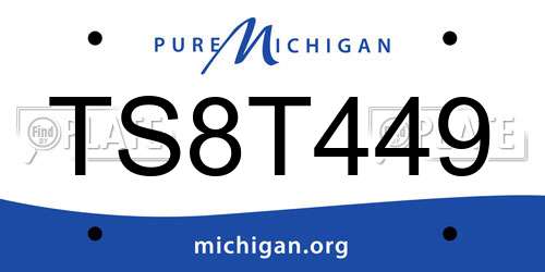TS8T449 Michigan License Plate