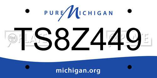 TS8Z449 Michigan License Plate